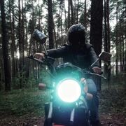 ���������� �������������, ���� ������� �������, 38 ���, ������������ ��� ������, ����� � ���������, c�������� ���������