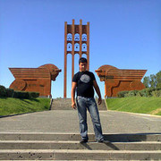  ,  HOVO, 33