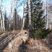 ���������� �����������, ���� ������� �������, 45 ���, ������������ ��� c�������� ���������