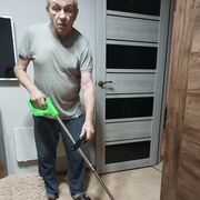  -,   , 66 ,   c 
