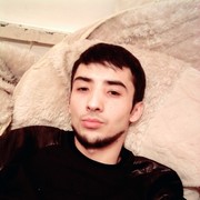  ,   Timur, 33 ,   ,   , c 