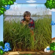  ,   , 50 ,   ,   , c 