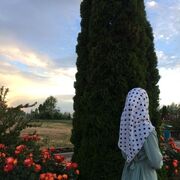 ���������� ���������, ���� ������� �������, 21 ���, ������������ ��� ������, ���������