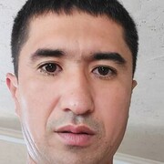 ���������� ������ ��������, ���� ������� �����, 44 ����, ������������ ��� ������, ����� � ���������