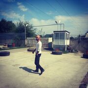 ���������� ������, ���� ����� Murat, 1 ���, ������������ ��� ������, ����� � ���������