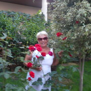  ,   , 74 ,     , c 