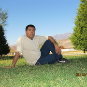  ,   , 43 ,  