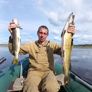 ���������� ������������, ���� ������� ������, 46 ���, ������������ ��� ������, ����� � ���������