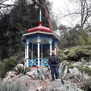  ,   , 51 ,     