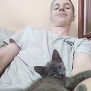 ���������� ������-��-����, ���� ������� �����, 33 ����, ������������ ��� ������, ����� � ���������, c�������� ���������