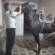 ���������� ��������, ���� ������� �����, 31 ���, ������������ ��� ������, ����� � ���������