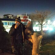 ���������� �����, ���� ������� ���������, 48 ���, ������������ ��� c�������� ���������, ���������