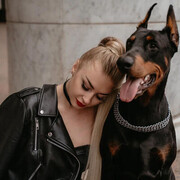 ���������� ���������, ���� ������� ����, 33 ����, ������������ 