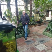 ���������� ������, ���� ������� ���������, 50 ���, ������������ ��� ������, ����� � ���������, c�������� ���������