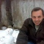  ,   , 52 ,   