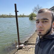  ,   Salix, 39 ,   ,   , c , 