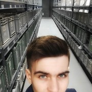 ���������� ������, ���� ������� ����, 31 ���, ������������ ��� ������, ����� � ���������, c�������� ���������