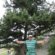 ���������� ������, ���� ������� ������, 62 ����, ������������ ��� ������, ����� � ���������, c�������� ���������