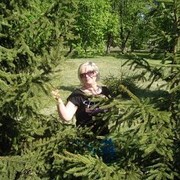 ���������� Chestnut, ���� ������� �����, 67 ���, ������������ ��� ������, ����� � ���������, c�������� ���������