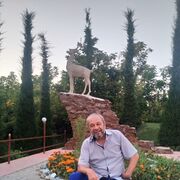  ,   , 70 ,   ,   