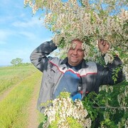 ���������� ������-��-����, ���� ������� �������, 47 ���, ������������ ��� ������, ����� � ���������