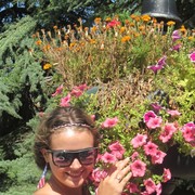 ���������� Kruje, ���� ������� �������, 32 ����, ������������ ��� ������, ���������