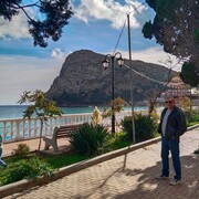 ���������� ����, ���� ������� ��������, 78 ���, ������������ ��� ����� � ���������, ���������