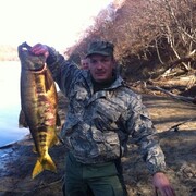 ���������� ������, ���� ������� ������, 46 ���, ������������ ��� ������, ����� � ���������