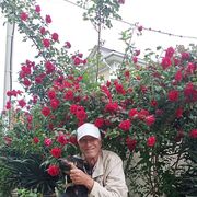  ,   , 59 ,     , c , 