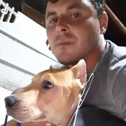  ,  gaga, 38