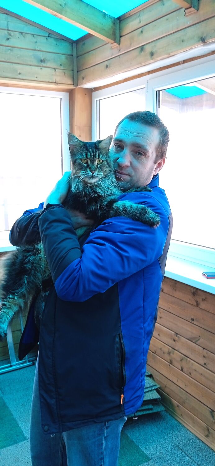 ���� 25394807 ������� �������, 42 ����, ���� ���������� � �����