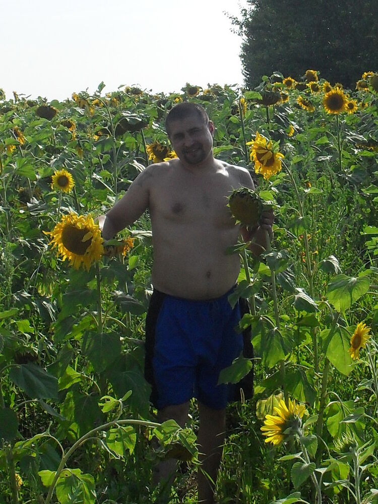  ,   , 51 ,   