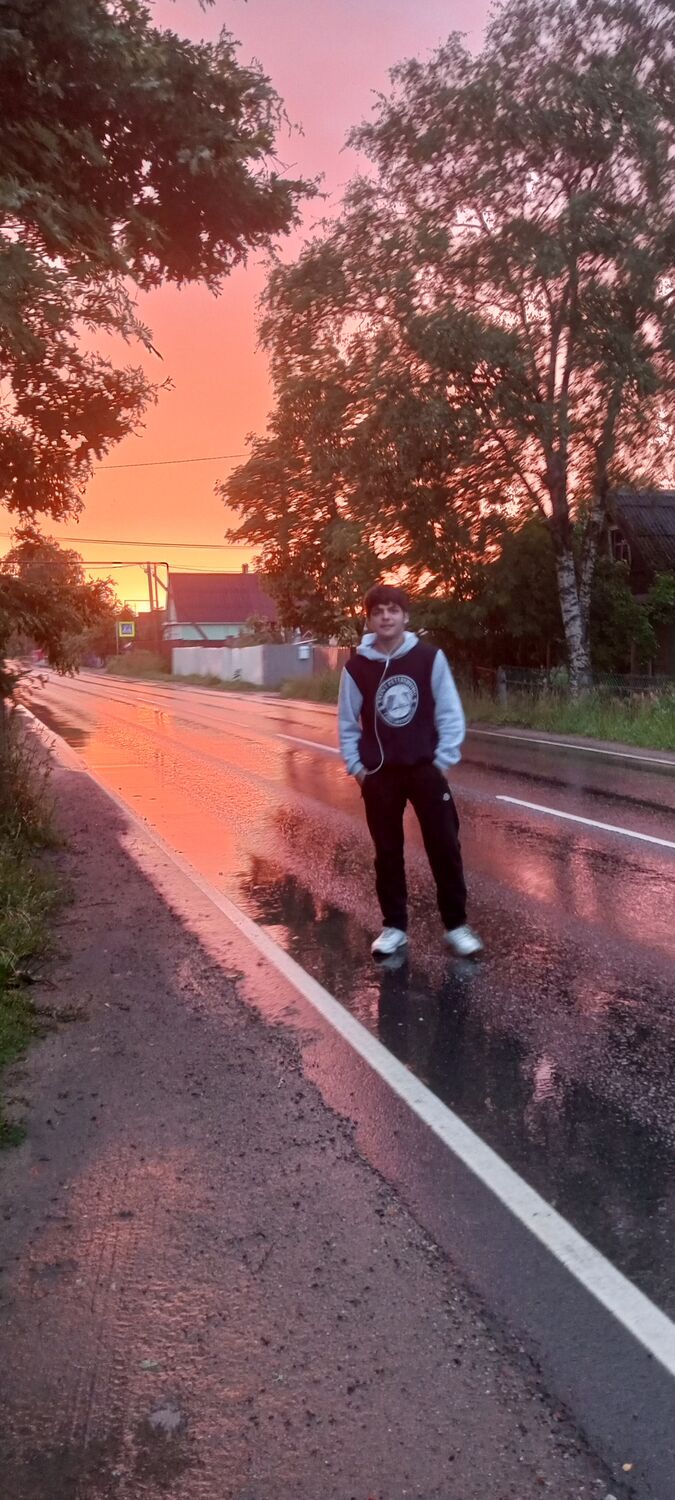  31255647  , 24 ,    