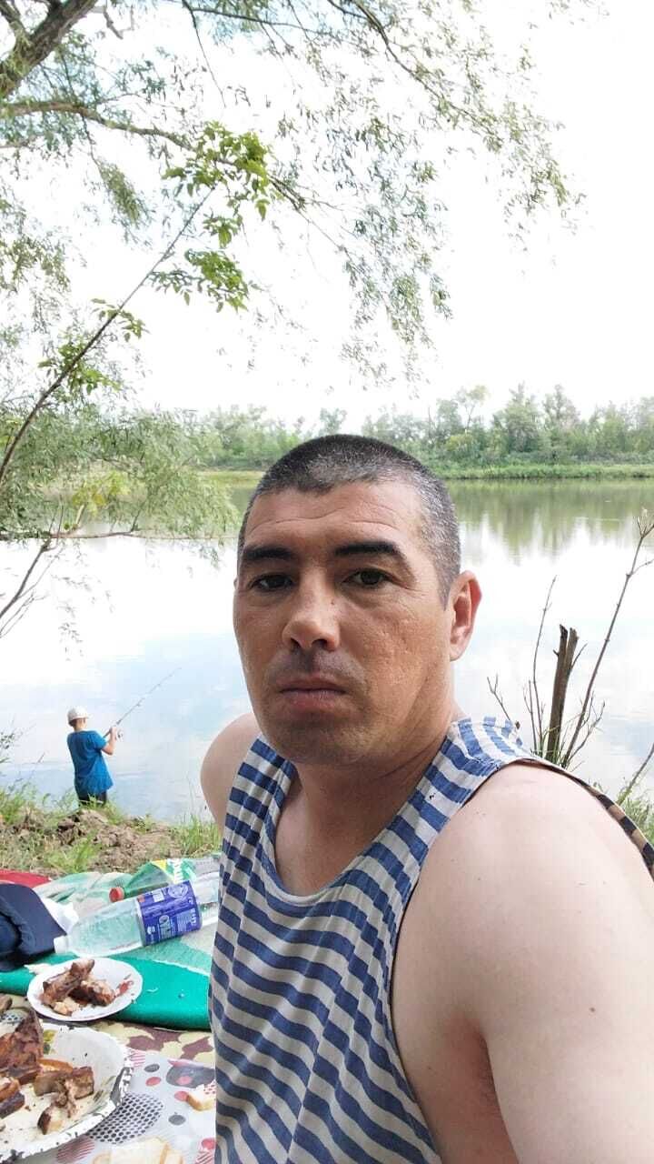  49108667  , 40 ,    