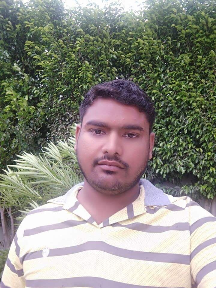  43570617  Panvar, 25 ,    