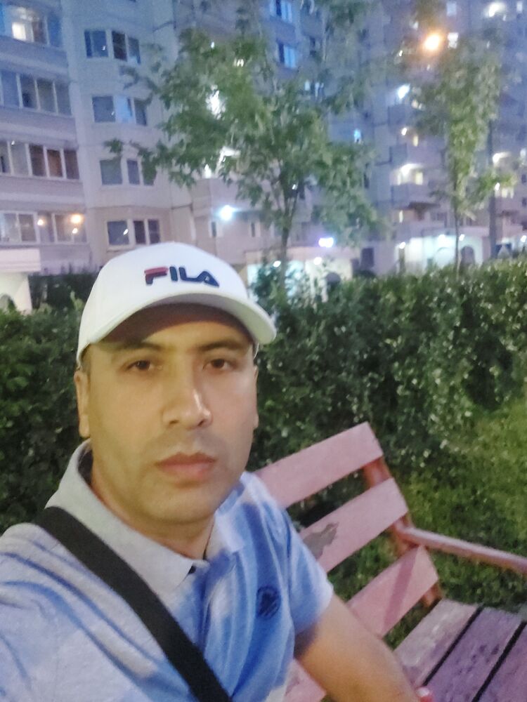  53036807  , 33 ,    