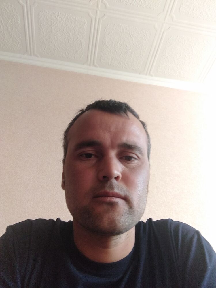  34138667  , 33 ,    