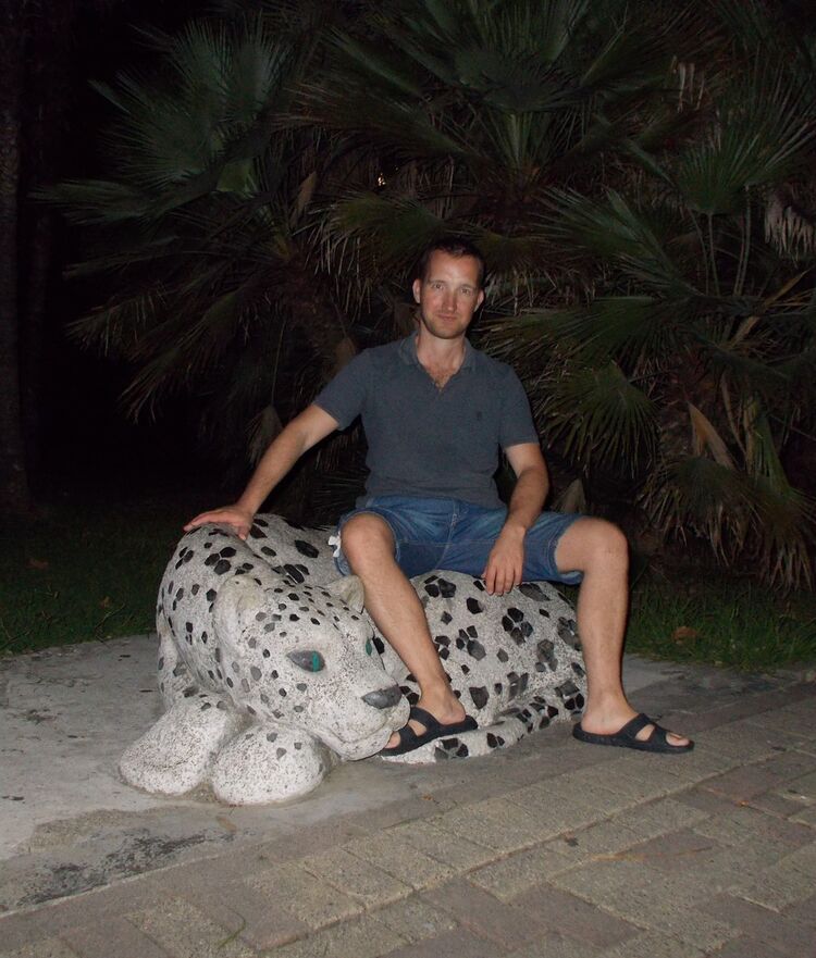  16072837  , 41 ,    -