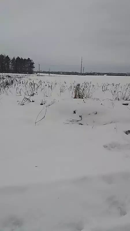 ���� 23622777 ������� ����, 35 ���, ���� ���������� � ������