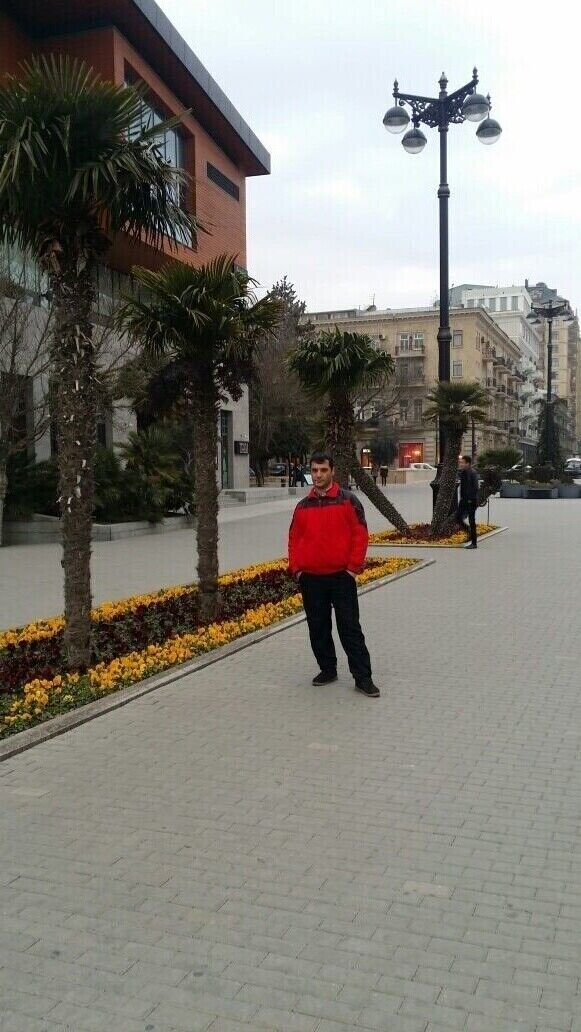 ���� 20453597 ������� �����, 43 ����, ���� ���������� � ��������