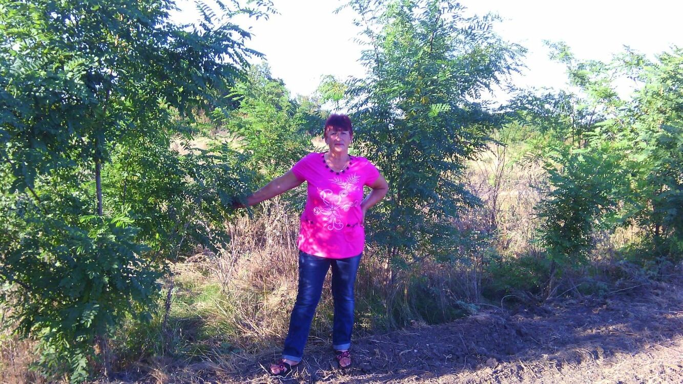 ���� 55770867 ������� ����, 60 ���, ���� ���������� � ��������