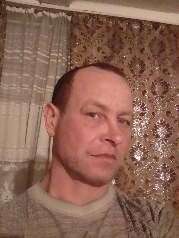  41362687  , 49 ,    