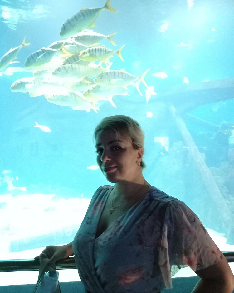 ���������� ����������, ���� ������� �������, 40 ���, ������������ ��� ������, ����� � ���������, c�������� ���������