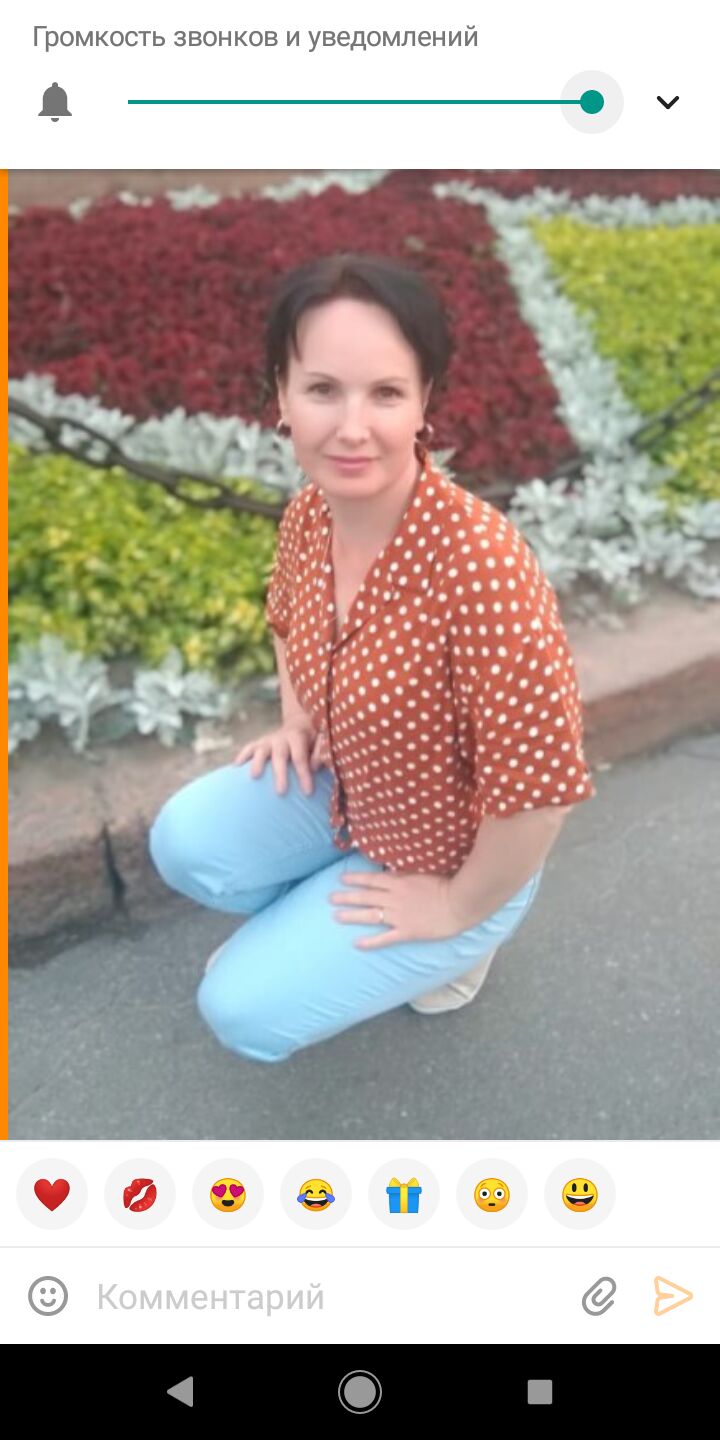 ���� 26006387 ������� ����, 49 ���, ���� ���������� � �������������