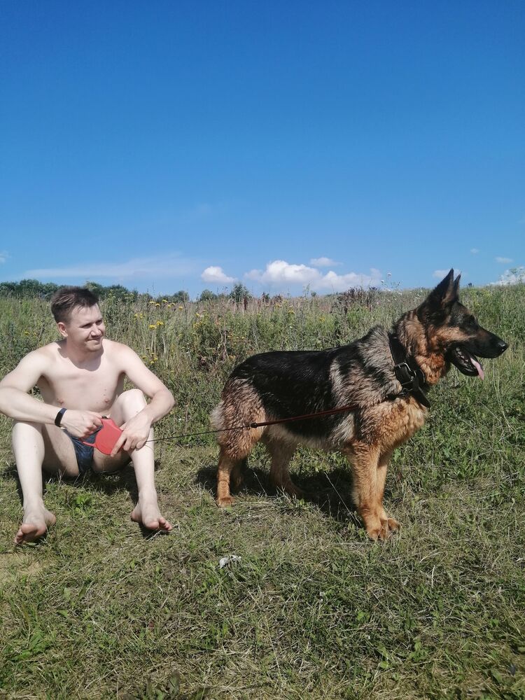 ���������� ����, ���� ������� ���, 33 ����, ������������ ��� ����� � ���������, c�������� ���������