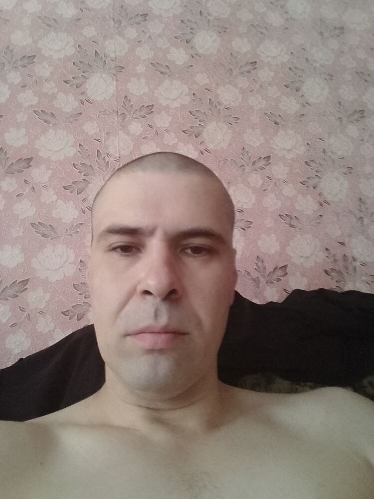  53392977  , 38 ,    
