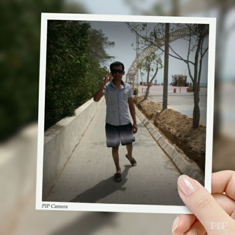 ���� 17003727 ������� �������, 33 ����, ���� ���������� � ������