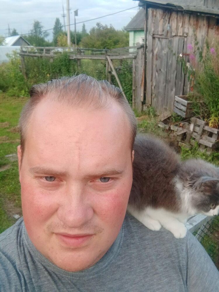 ���� 55908037 ������� ������, 31 ���, ���� ���������� � ������