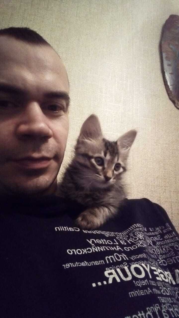 ���� 30870937 ������� �������, 34 ����, ���� ���������� � ����������