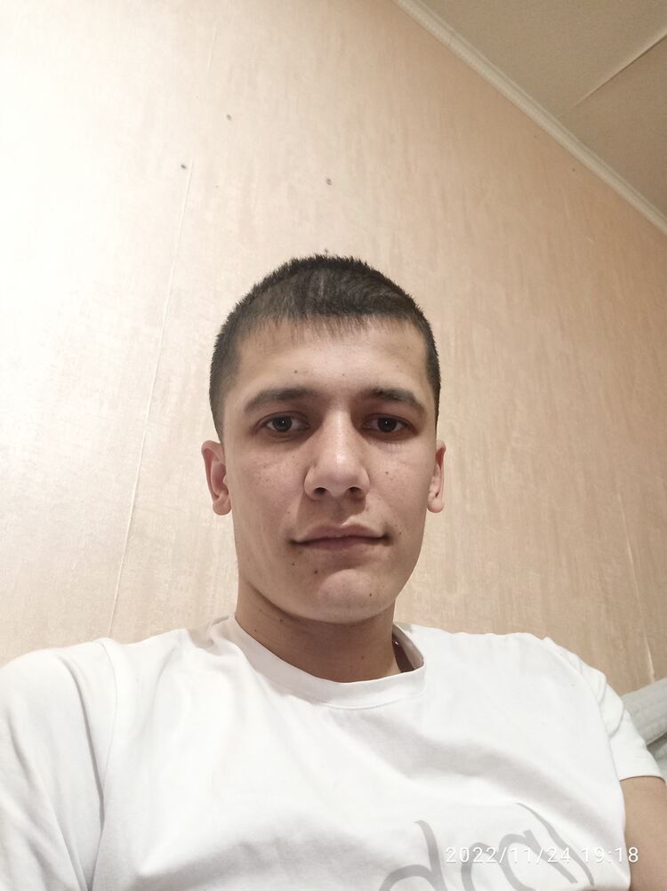  31256677  , 33 ,    